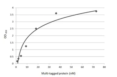 Anti-DDDDK tag antibody [M2-RB] used in ELISA (ELISA). GTX640415