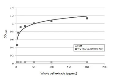 Anti-Yellow Fever virus NS5 protein antibody [HL3014] used in ELISA (ELISA). GTX640427