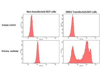 Anti-Dopamine Receptor D2 antibody [HL3159] used in Flow cytometry (FCM). GTX640669