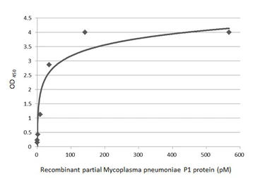 Anti-Mycoplasma pneumoniae P1 protein antibody [HL3205] used in ELISA (ELISA). GTX640845