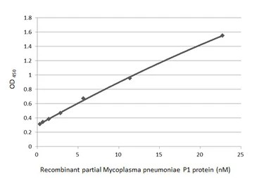 Anti-Mycoplasma pneumoniae P1 protein antibody [GT50] used in ELISA (ELISA). GTX641374