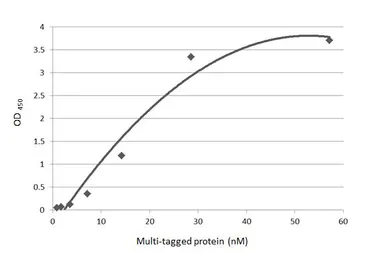 Anti-DDDDK tag antibody [M2-MS] used in ELISA (ELISA). GTX641655