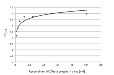 Anti-hCG beta antibody [GT75] used in ELISA (ELISA). GTX641720