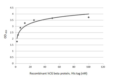Anti-hCG beta antibody [GT76] used in ELISA (ELISA). GTX641721