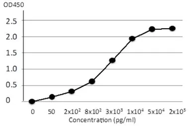 Anti-Varicella Zoster virus gE antibody [#9] used in ELISA (ELISA). GTX64187