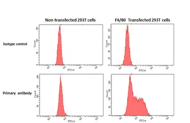 Anti-F4/80 antibody [HL4143] used in Flow cytometry (FCM). GTX642948