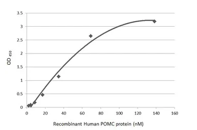 Anti-ACTH antibody [GT195] used in ELISA (ELISA). GTX643472
