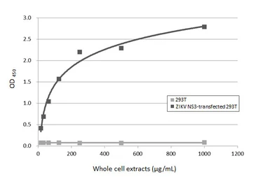 Anti-Zika virus NS3 protein antibody [HL4878] used in ELISA (ELISA). GTX644943