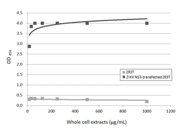Anti-Zika virus NS3 protein antibody [HL4878] used in ELISA (ELISA). GTX644943