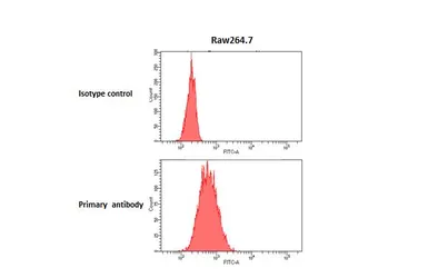 Anti-F4/80 antibody [HL5468] used in Flow cytometry (FCM). GTX646110