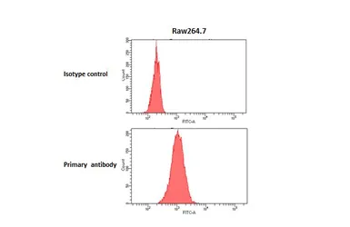 Anti-F4/80 antibody [HL5469] used in Flow cytometry (FCM). GTX646111