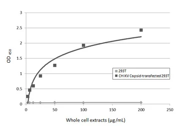 Anti-Chikungunya virus Capsid antibody [HL5662] used in ELISA (ELISA). GTX646471
