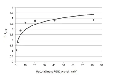 Anti-Placensin / FBN2 antibody [HL5732] used in ELISA (ELISA). GTX646683