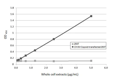 Anti-Chikungunya virus Capsid antibody [HL6530] used in ELISA (ELISA). GTX648986