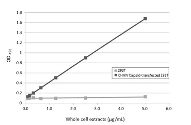 Anti-Chikungunya virus Capsid antibody [HL6530] used in ELISA (ELISA). GTX648986