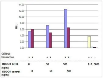 Mouse GITRL protein, DDDDK tag (active). GTX65629-pro