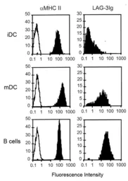Human LAG3 protein, human IgG1 Fc tag (active). GTX65640-pro