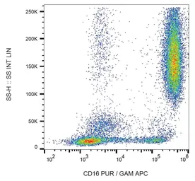 Anti-CD16 antibody [LNK16] used in Flow cytometry (FCM). GTX74720