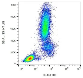 Anti-CD13 antibody [WM15] (FITC) used in Flow cytometry (FCM). GTX74833