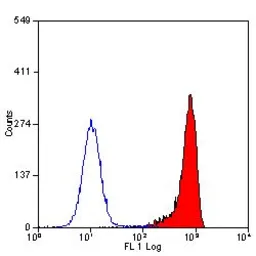 Anti-C5a R1 antibody [S5/1] used in Flow cytometry (FCM). GTX74845