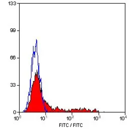 Anti-CD57 antibody [TB01] used in Flow cytometry (FCM). GTX74868