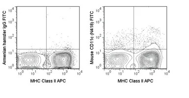 cd11c antibody