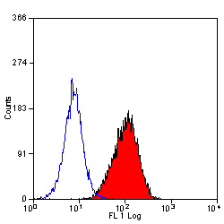 Anti-CD34 antibody [MEC14.7] (PE) used in Flow cytometry (FCM). GTX75414