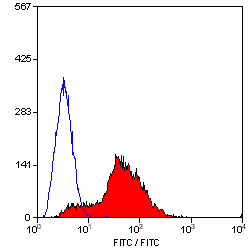 Anti-CD81 antibody [Eat 2] (FITC) used in Flow cytometry (FCM). GTX75431