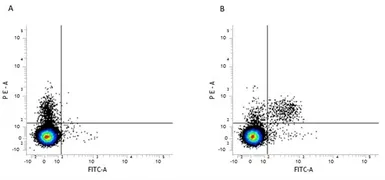 Anti-Integrin alpha 2 antibody [DX5] (FITC) used in Flow cytometry (FCM). GTX75859