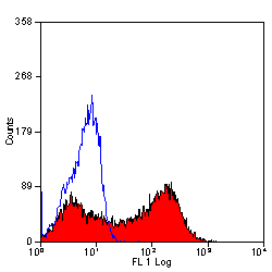 Anti-IL2 Receptor alpha antibody [MRC OX-39] (Biotin) used in Flow cytometry (FCM). GTX76046