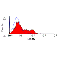 Anti-TCR alpha + TCR beta antibody [R73] used in Flow cytometry (FCM). GTX76146