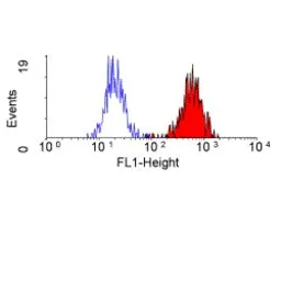 Anti-CD35 antibody [E11] (Azide free) used in Flow cytometry (FCM). GTX76306