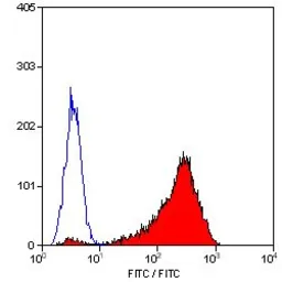Anti-CD42b antibody [AK2] used in Flow cytometry (FCM). GTX76455