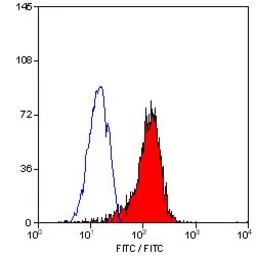 Anti-ICAM1 / CD54 antibody [1A29] (FITC) used in Flow cytometry (FCM). GTX76499