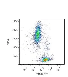 Anti-beta 2 Microglobulin antibody [B2M-02] used in Flow cytometry (FCM). GTX78407