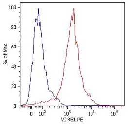 Anti-Vimentin antibody [VI-RE/1] (PE) used in Flow cytometry (FCM). GTX79851