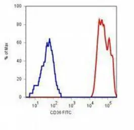 Anti-CD36 antibody [TR9] (FITC) used in Flow cytometry (FCM). GTX79880