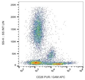Anti-CD26 antibody [BA5b] used in Flow cytometry (FCM). GTX80222