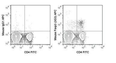Anti-FOXP3 antibody [3G3] (APC) used in Flow cytometry (FCM). GTX80283-07