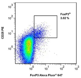 Anti-FOXP3 antibody [3G3] used in Flow cytometry (FCM). GTX80283