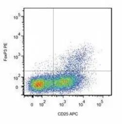 Anti-FOXP3 antibody [3G3] used in Flow cytometry (FCM). GTX80283