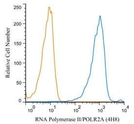 Anti-RPB1 antibody [4H8] used in Flow cytometry (FCM). GTX80341