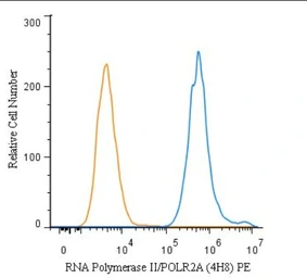 Anti-RPB1 antibody [4H8] used in Flow cytometry (FCM). GTX80341
