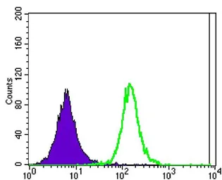 Anti-Ataxin 1 antibody [2F5] used in Flow cytometry (FCM). GTX80399
