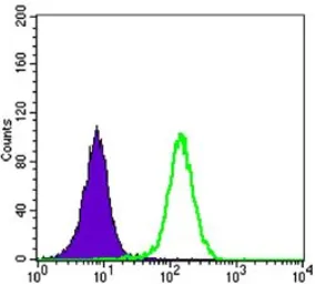 Anti-LKB1 antibody [4H12] used in Flow cytometry (FCM). GTX80401
