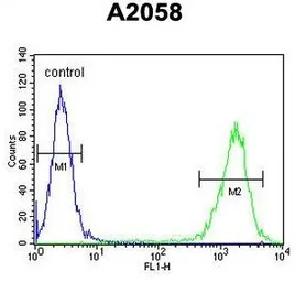 Anti-PTMS antibody, C-term used in Flow cytometry (FCM). GTX80442