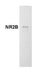 Anti-NMDAR2B antibody [NR2B] used in Western Blot (WB). GTX80691