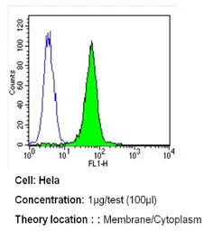 Anti-Her4 / ErbB4 antibody [HFR1] used in Flow cytometry (FCM). GTX80811