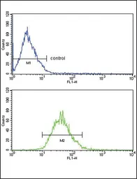 Anti-LDL Receptor antibody, Internal used in Flow cytometry (FCM). GTX80914
