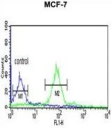 Anti-Histone H2A type 1H antibody, N-term used in Flow cytometry (FCM). GTX81004